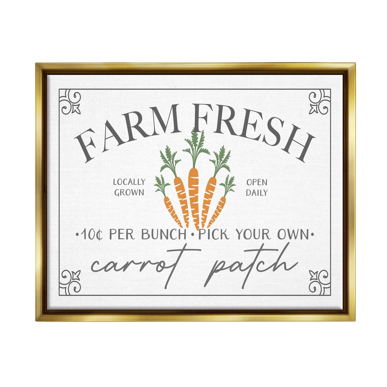 Stupell Industries Farm Fresh Carrot Patch Black Framed Floater Canvas Wall Art